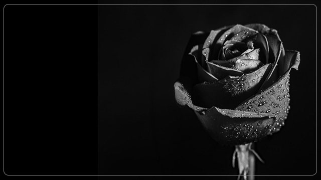  bìa avatar đen tang lễ đăng facebook đẹp